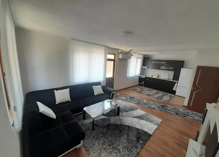 公寓 Levkov 佩特里奇