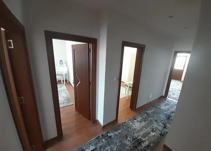 Levkov * 佩特里奇