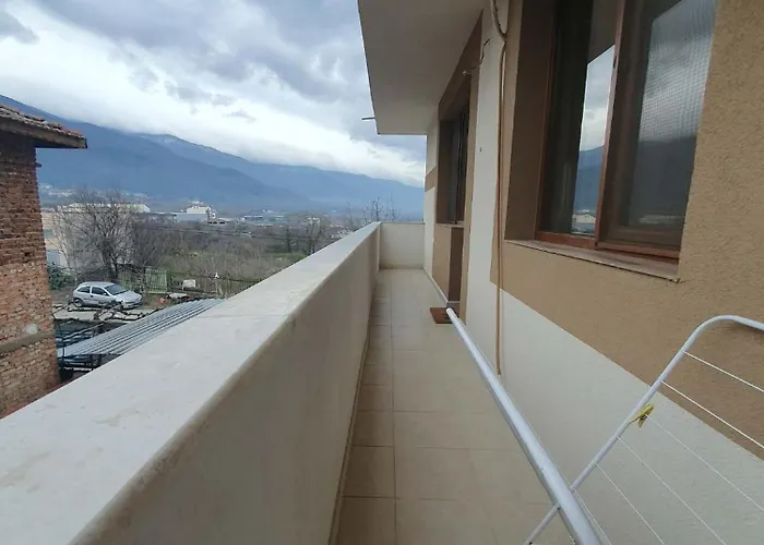 Levkov * 佩特里奇